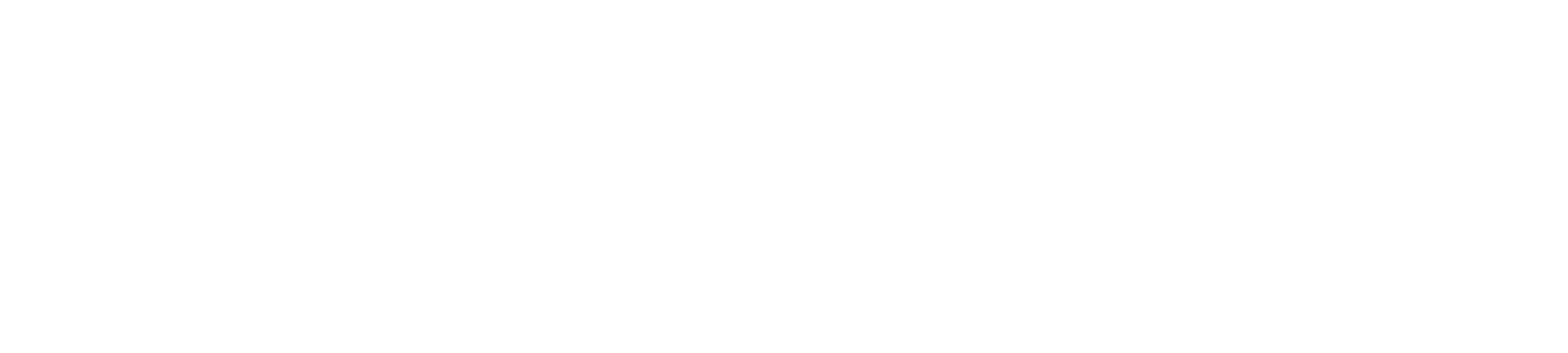 PLANBRAZIL_LOGO_BRANCO